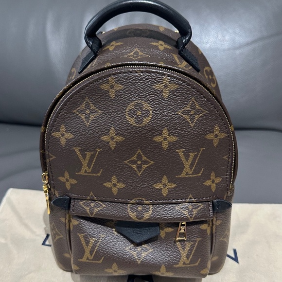 Louis Vuitton Palm Springs  mini - Picture 2 of 16